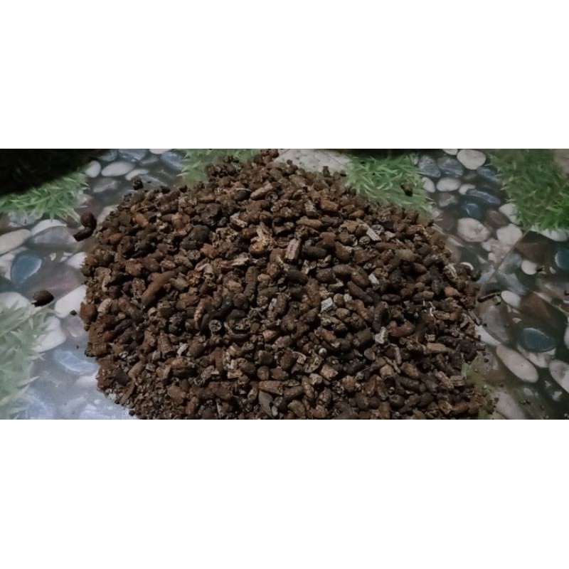 Chuối rừng Kon Tum quả gẫy đôi giá rẻ (vẫn ngon nhé, chỉ không được nguyên quả dày)