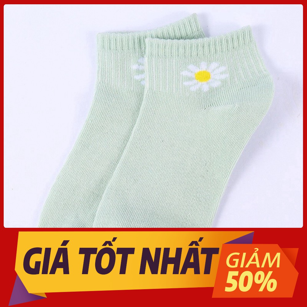 [Sale toàn shop]combo 10đôi TẤT VỚ NAM NỮ MANG GIÀY CỔ TRỤ HOA CÚC 300 SIÊU DỄ THƯƠNG