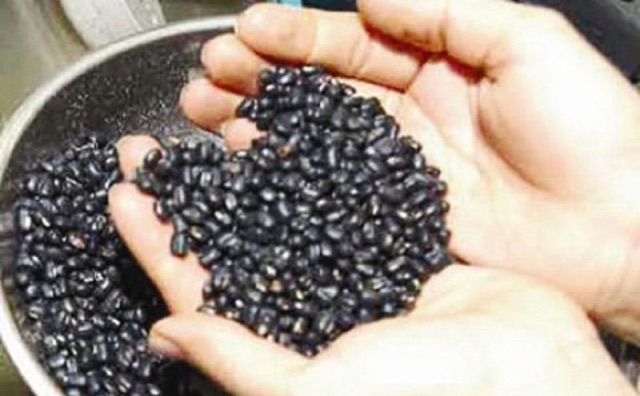 Trà đậu đen xanh lòng giúp giải nhiệt, giảm cân, trẻ hoá da