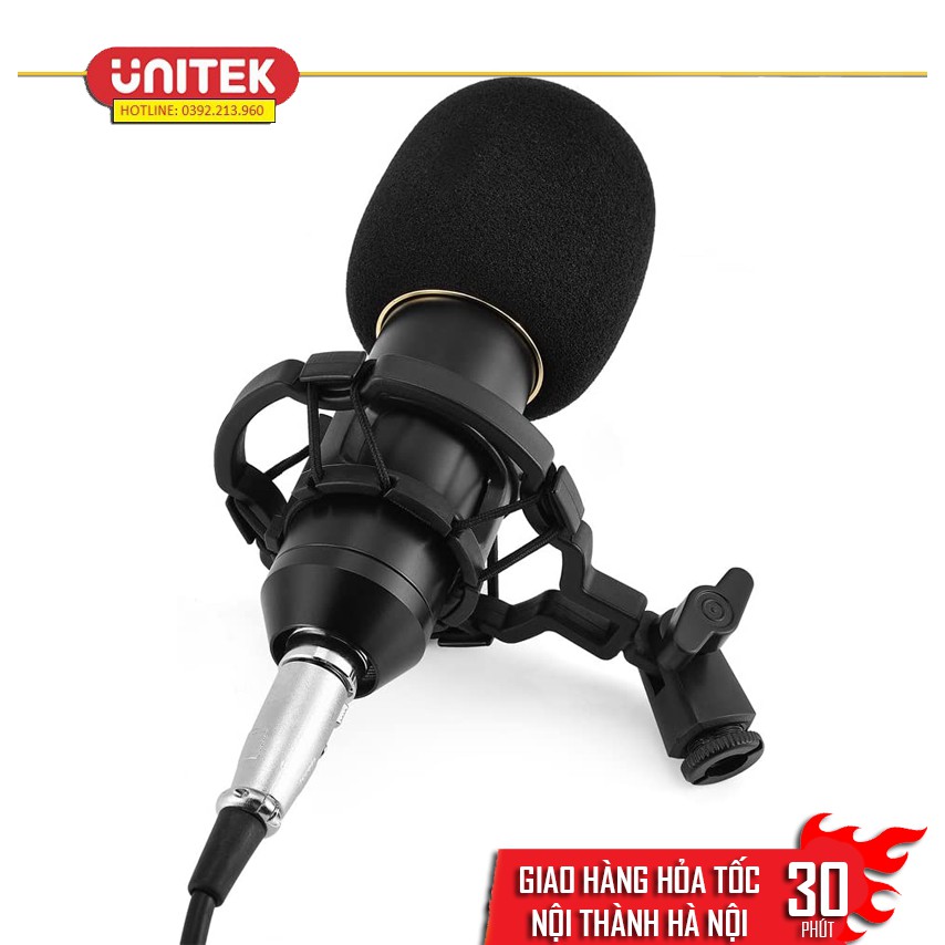 [Mã ELHACE giảm 4% đơn 300K] Micro karaoke thu âm chuyên nghiệp BM900