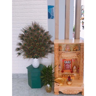 Lông công phong thuỷ 1234