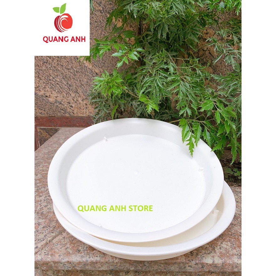 ĐĨA LÓT CHẬU CÂY PHI 20CM