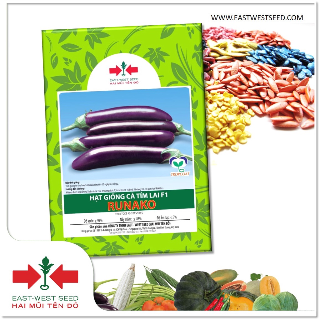 GÓI 140 HẠT CÀ TÍM LAI F1 RUNAKO CỦA EAST-WEST SEED (HAI MŨI TÊN ĐỎ)