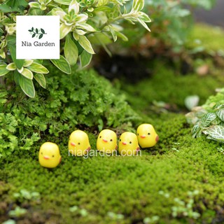 Tiểu cảnh gà con mô hình mini trang trí chậu cây bể cá terrarium vườn Nia Garden N5