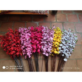 hoa anh đào cành 5 nhánh