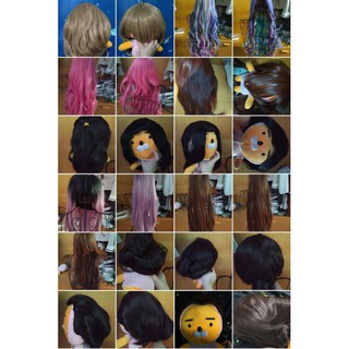 1 Chiếc Tóc Giả Wig Cosplay Nam Nữ Hóa Trang Ngẫu Nhiên