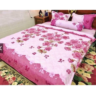 Bộ vỏ chăn ga gối cotton poly