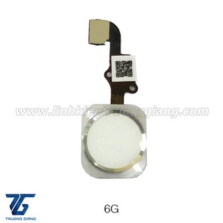 Home 6g/6p
