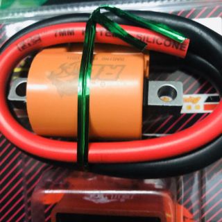 Combo IC+ mobin sườn Redleo cho Dr,Wave
