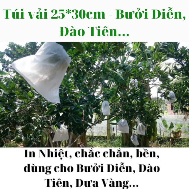 combo 10 Túi Bao Trái Cây 25*30cm, Túi Bọc Trái Na, Ổi, Mãng Cầu, Xoài... vải không dệt dập nhiệt chắc chắn, bền, dai