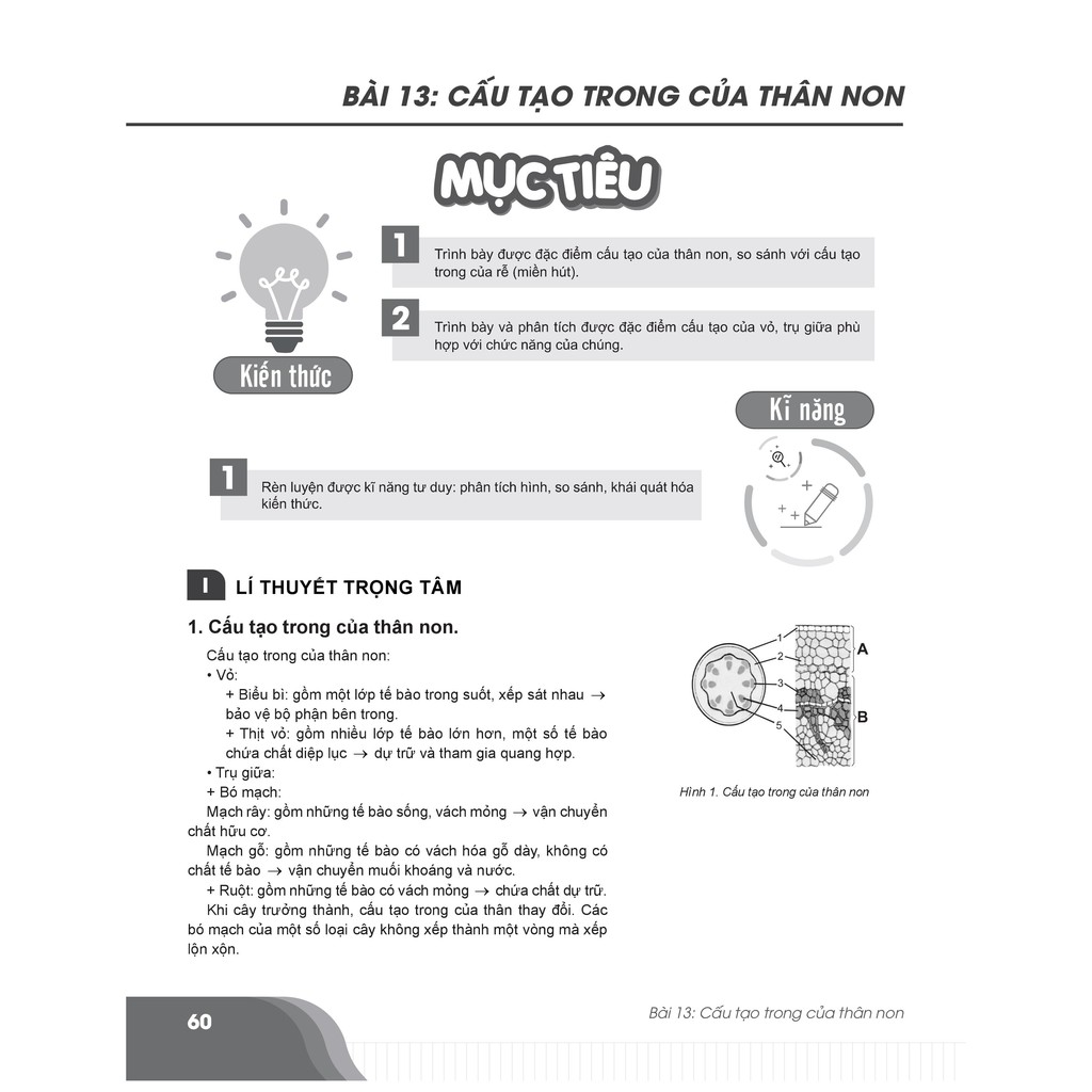 Sách - Bí quyết chinh phục điểm cao Sinh học 6