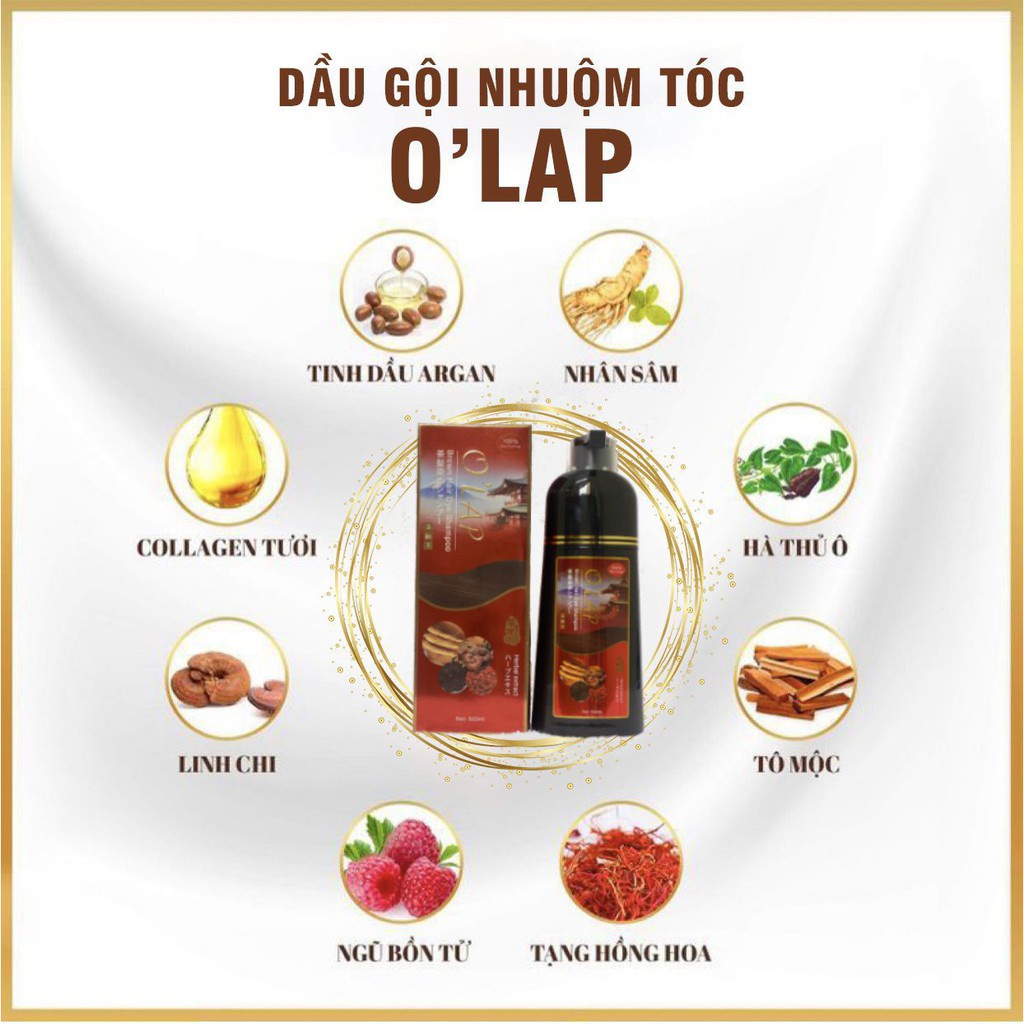 Gội đen, nâu phủ bạc OLAP 500ml Nhật Bản thảo dược thiên nhiên