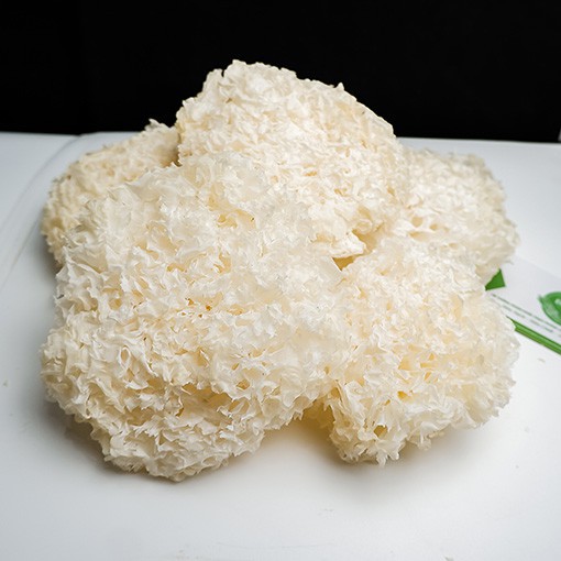 Nấm tuyết (ngân nhĩ) 20gr