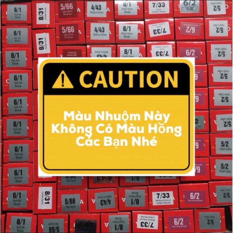 Thuốc Nhuộm Tóc 60 Màu - Hàng Như Hình | BigBuy360 - bigbuy360.vn