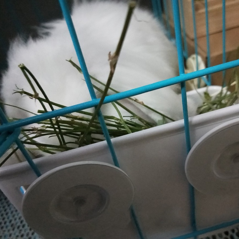 Bát Đựng Thức Ăn Treo Chuồng Cho Chuột Hamster Hay Manger