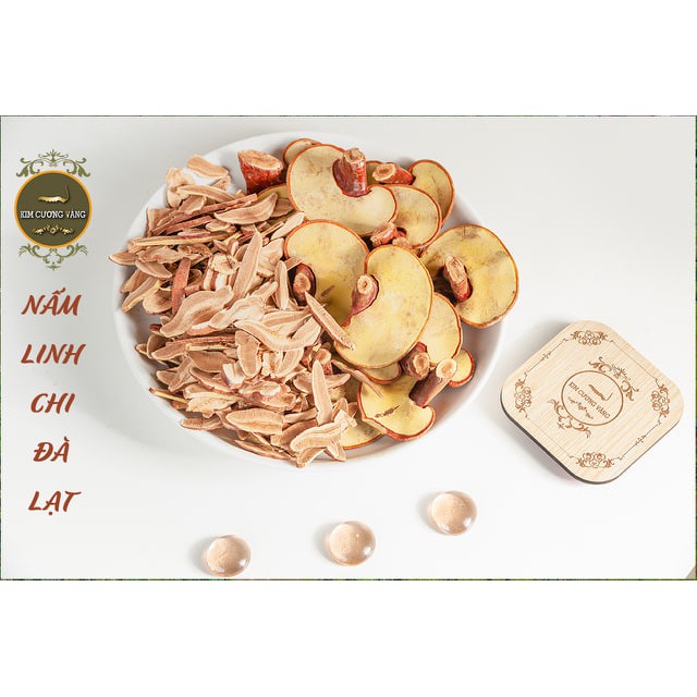 NẤM LINH CHI ĐỎ ĐÀ LẠT | BigBuy360 - bigbuy360.vn