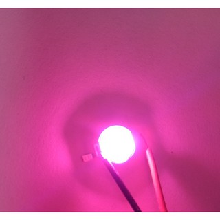 BRIDGELUX CHIP 3W - CÂY TRỒNG