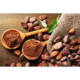Bột Cacao Malaysia Gói 500g (Ngọt)