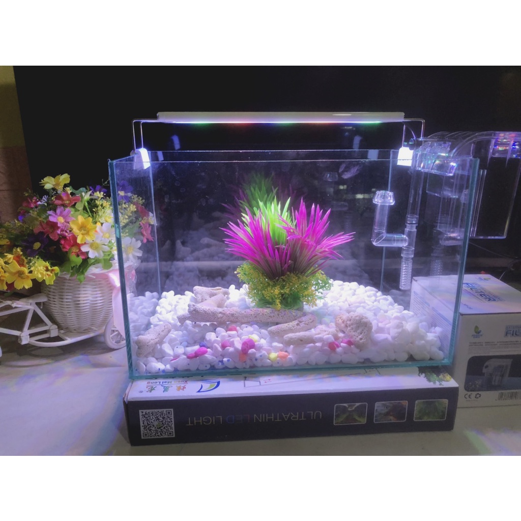 Hồ cá, bể cá cảnh thủy sinh FULL COMBO 6 món phụ kiện D32 R20 H20
