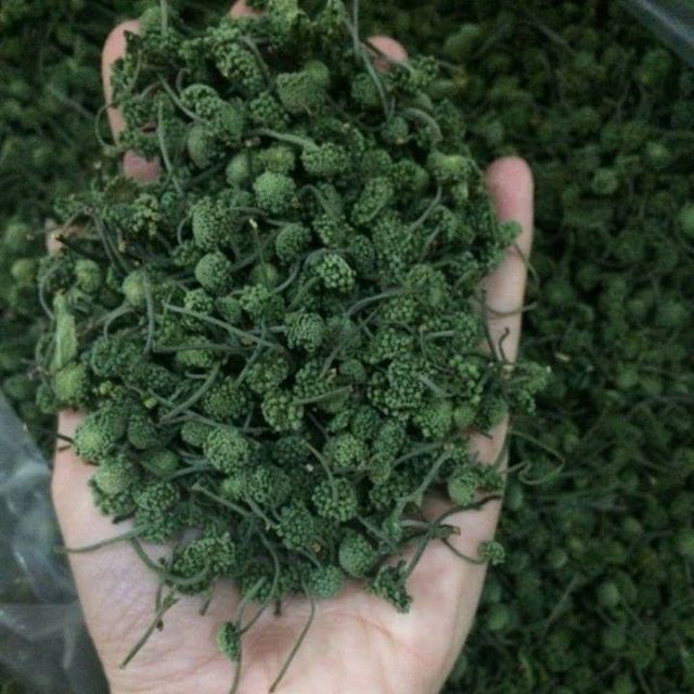 Nụ tam thất 1kg
