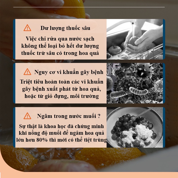 Máy khử trùng, tiệt trùng thực phẩm - Máy rửa trái cây, rau củ quả, thịt, cá - Loại bỏ dư lượng thuốc bảo vệ thực vật