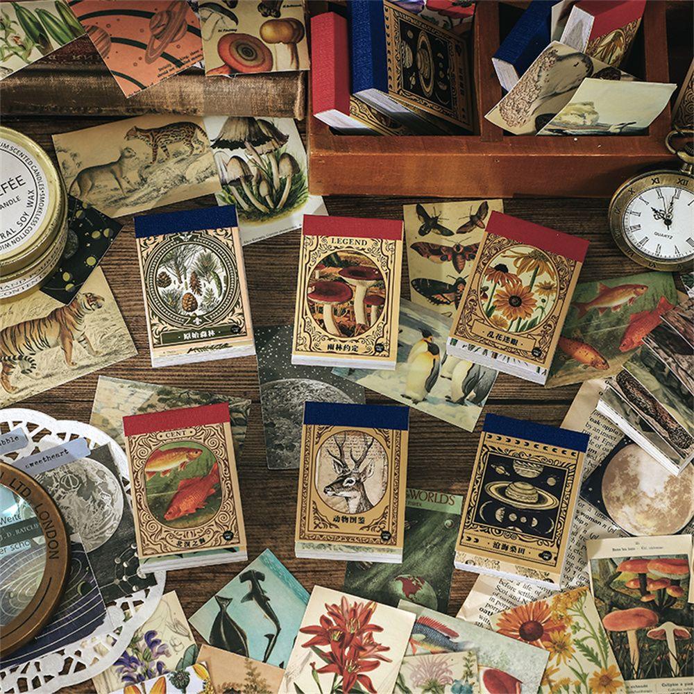 Nhãn Dán Trang Trí Sổ Lưu Niệm Họa Tiết Chữ Sáng Tạo