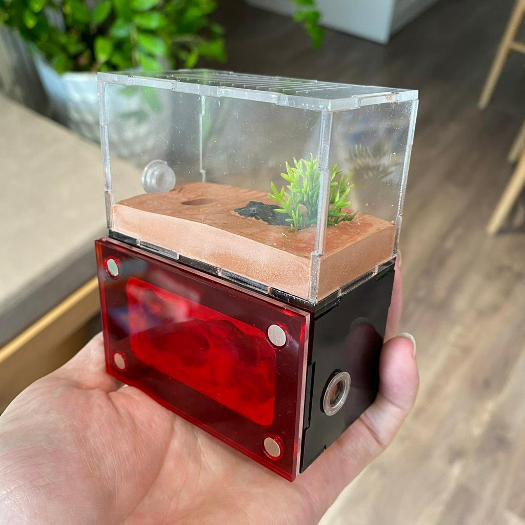 Tank Kiến , Ổ Kiến , Nhà Cho Kiến Mini ST03