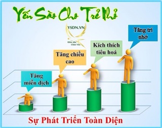 Yến Sào Tổ yến