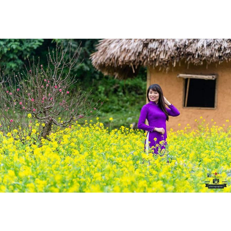 💥hạt giống hoa cải hoa cải vàng @🤗Siêu Dễ Trồng💥 sống ảo chụp ảnh cực cute