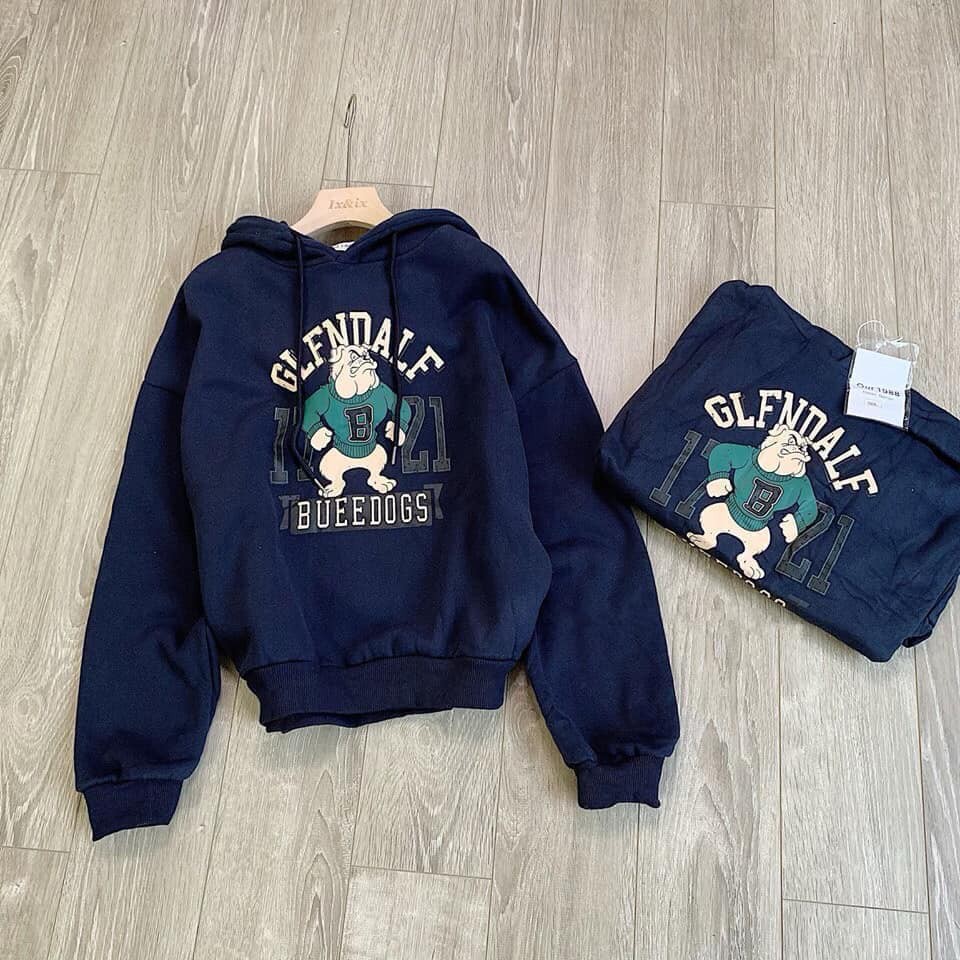 bán buôn áo nỉ chó | BigBuy360 - bigbuy360.vn