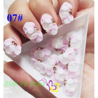 Hoa bột nỗi 4D đính móng 2 cái/ 18k