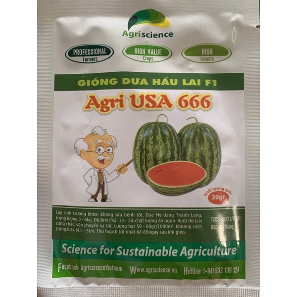 HẠT GIỐNG DƯA HẤU LAI F1 THÀNH LONG USA 666 (GÓI 20gr)