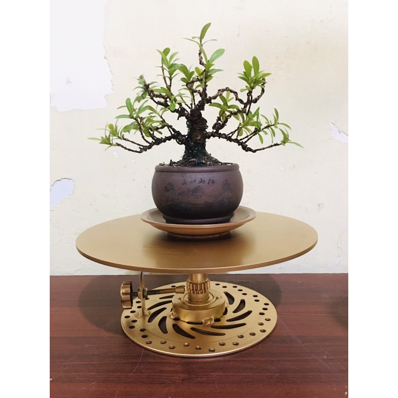 Bàn xoay tay Tải 300kg.trưng cây làm bonsai trưng đồ mỹ nghệ, cắm hoa, live stream. 32L