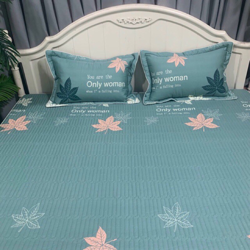 Combo 1 bộ ga chun trần 1m6x2m và 2 bộ 1m6x2m