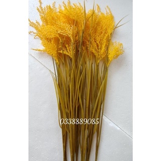 Cành lúa thóc 3 thân lớn trang trí decor