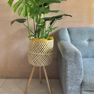Chậu cây mây tre đan