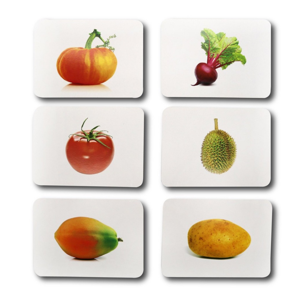 Flashcard glenn doman cho trẻ sơ sinh thẻ thế giới xung quanh chuẩn 300 thẻ chuyên sâu Shop Bố Su