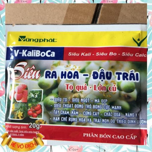 SIÊU RA HOA ĐẬU QUẢ GÓI 20gr