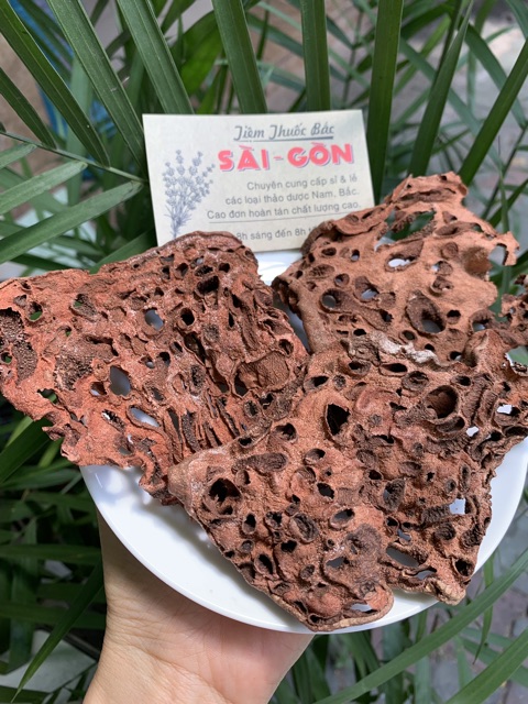 Cây Bí Kỳ Nam Khô 500g