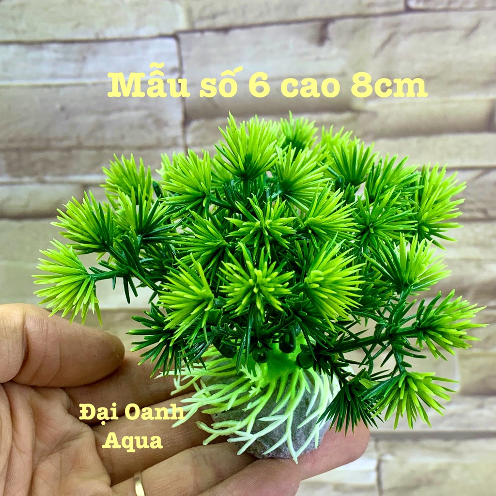Cây Nhựa Trang Trí Bể Cá Cảnh, Tiểu Cảnh