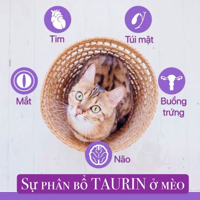 Thực phẩm bổ sung Taurin - Nourse 18