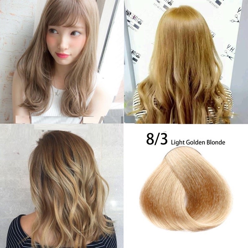 Thuốc nhuộm màu vàng sáng Light Golden Blonde 8/3 hair Dye Cream | Shopee  Việt Nam