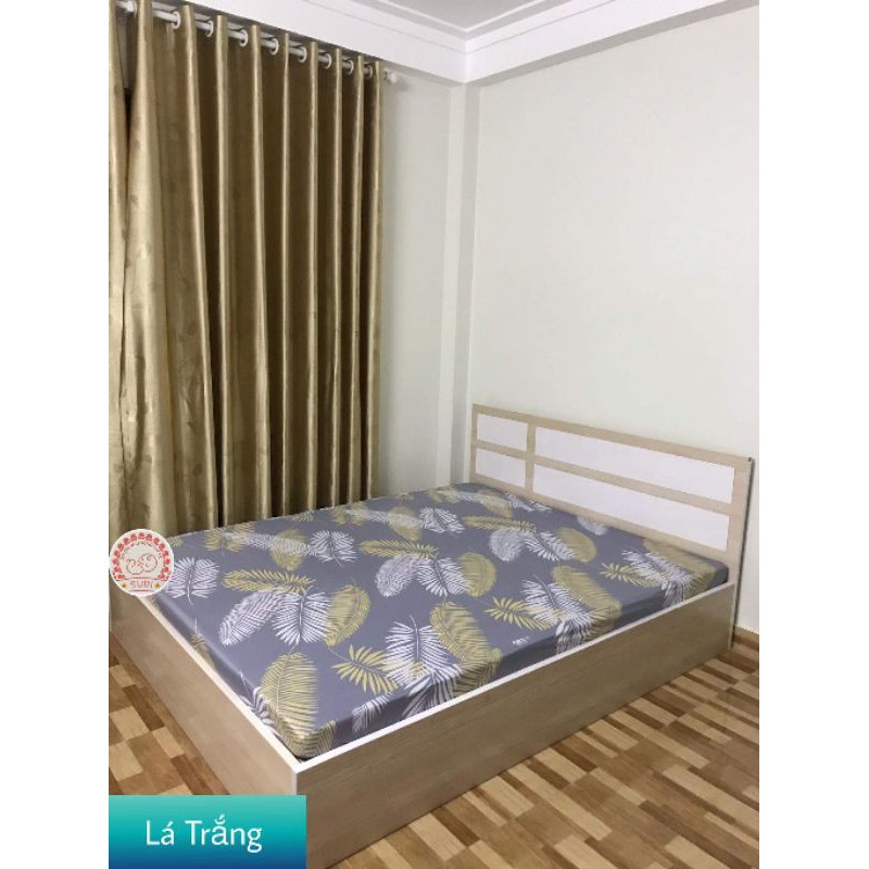combo ga chống thấm suri 900