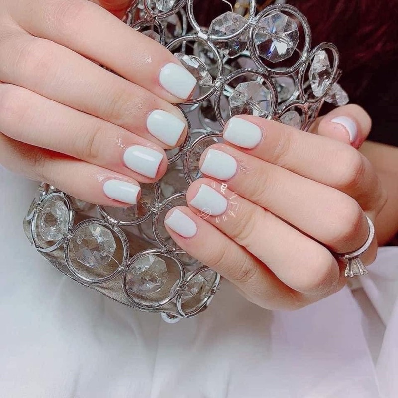 SƠN HABO TRẮNG ĐEN