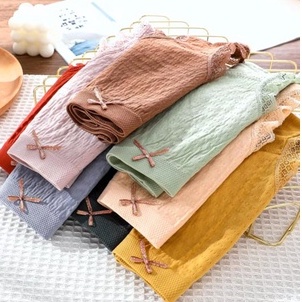 Quần lót nữ QLN011 Cottong mềm mỏng có viền ren có lỗ thông hơi thoáng mát tại CHIPNOIY SHOP