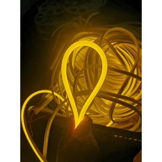 Led Neon 12v