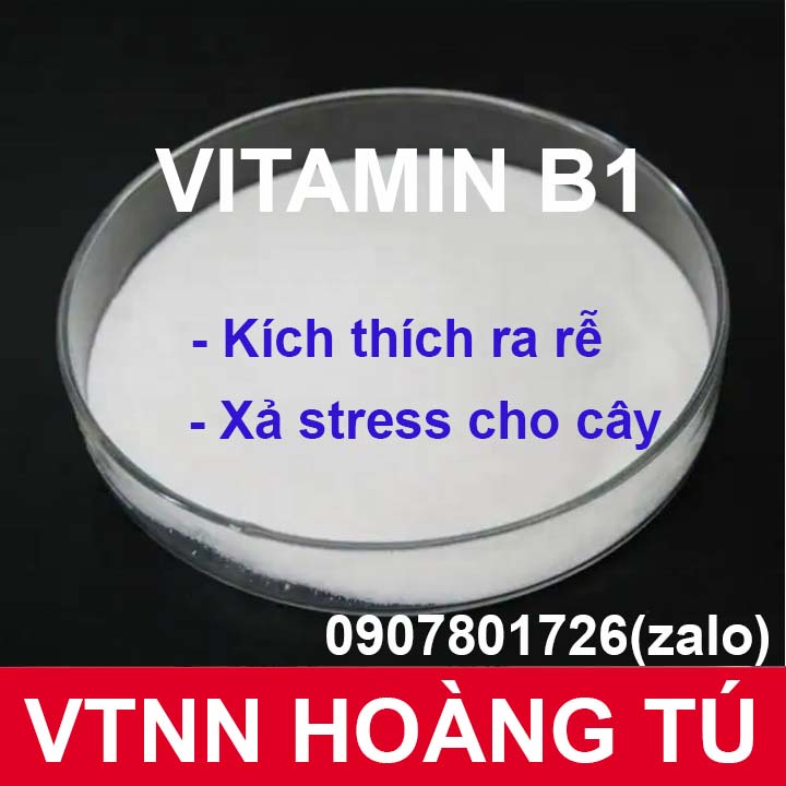 Gói 100gram - Vitamin B1  nguyên chất