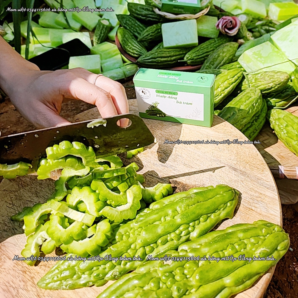 [ HANDMADE ] XÀ BÔNG MƯỚP ĐẮNG TRÀM TRÀ MOMVIET (Tặng kèm túi lưới)