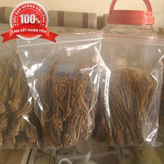 Sâm đương quy tươi nguyên củ (gói 2 củ 1kg)