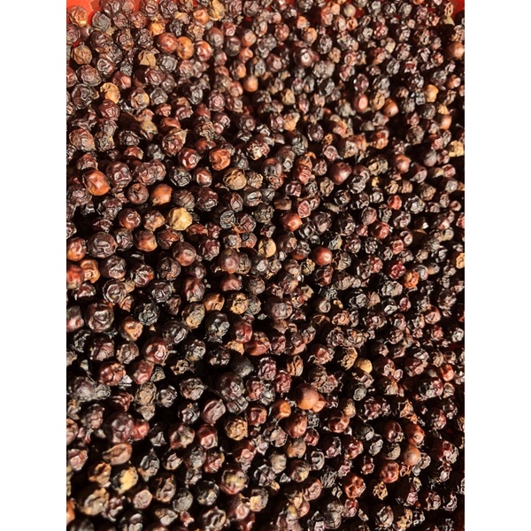 HẠT TIÊU ĐEN CHÍN ĐỎ - ĐĂK NÔNG